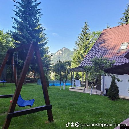Hotel Casa Aris Lepsa Vrancea Esterno foto
