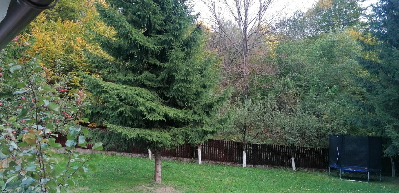 Hotel Casa Aris Lepsa Vrancea Esterno foto