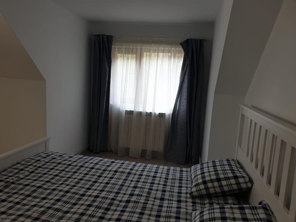 Hotel Casa Aris Lepsa Vrancea Esterno foto