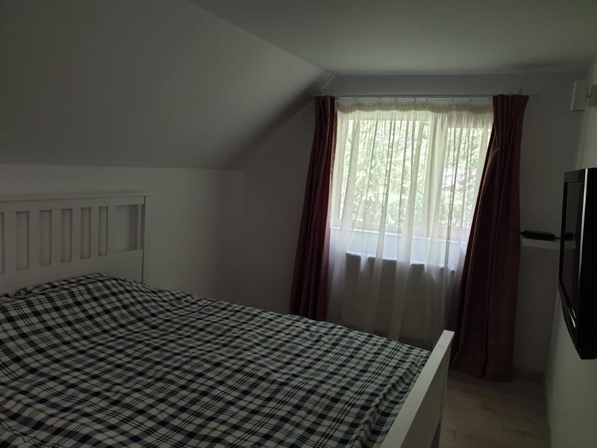 Hotel Casa Aris Lepsa Vrancea Esterno foto