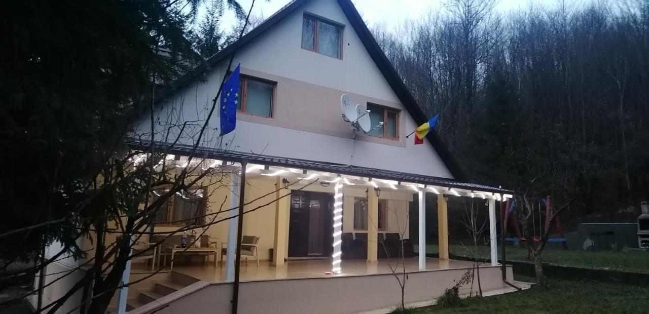 Hotel Casa Aris Lepsa Vrancea Esterno foto
