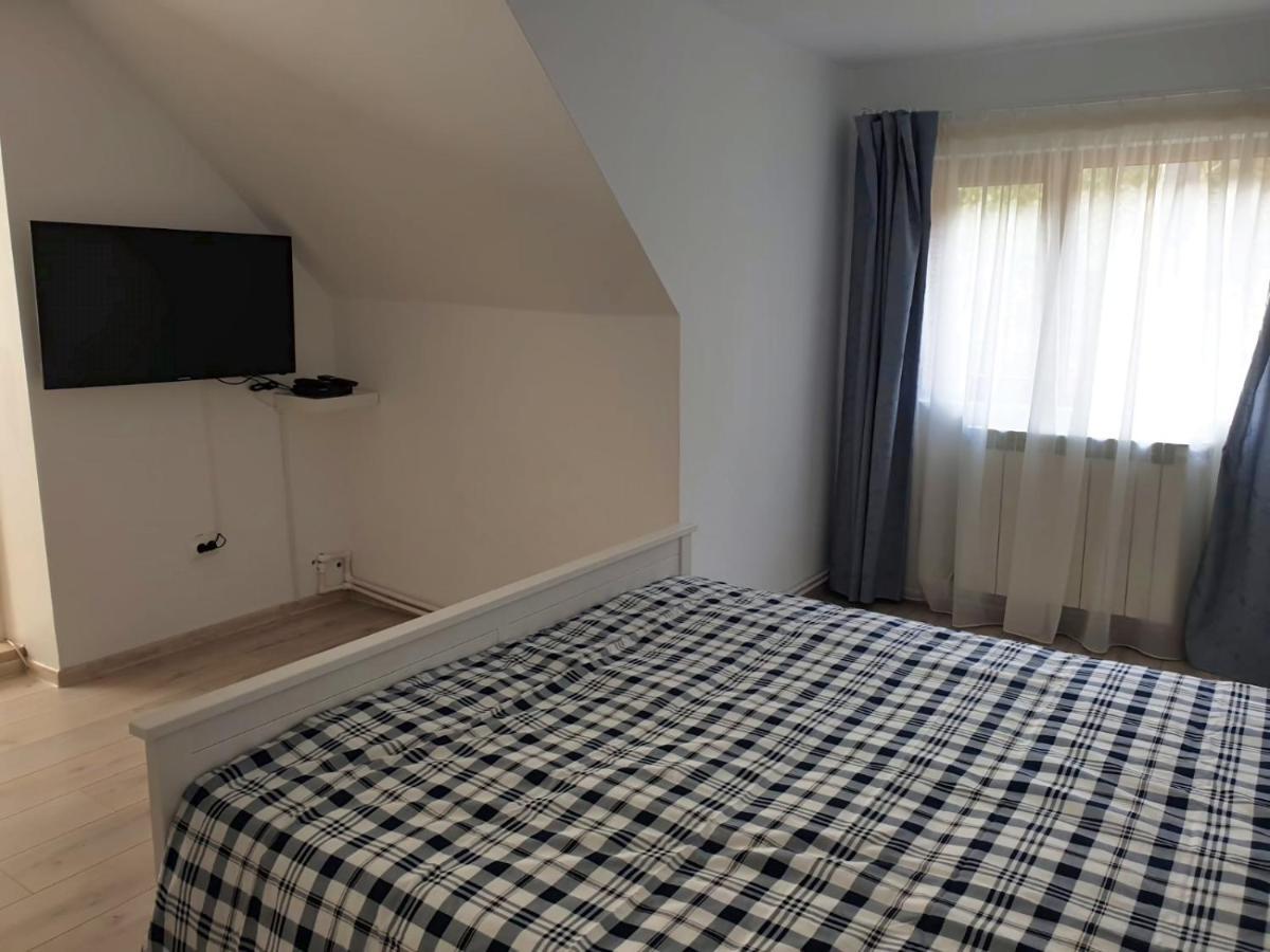 Hotel Casa Aris Lepsa Vrancea Esterno foto