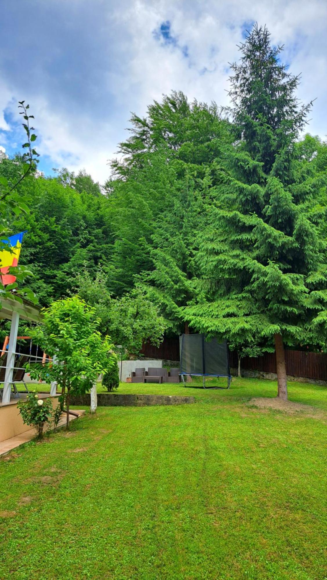Hotel Casa Aris Lepsa Vrancea Esterno foto