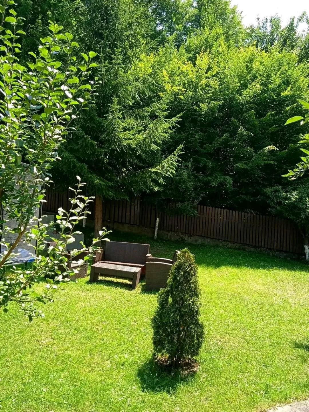 Hotel Casa Aris Lepsa Vrancea Esterno foto